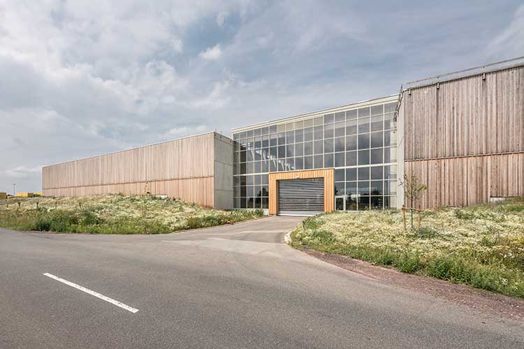 Abbildung zum Fachartikel »Neues Logistikzentrum als Holzbau mit Biodiversitätsdach«
