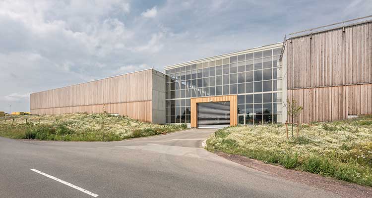 Abbildung zum Fachartikel »Neues Logistikzentrum als Holzbau mit Biodiversitätsdach« 