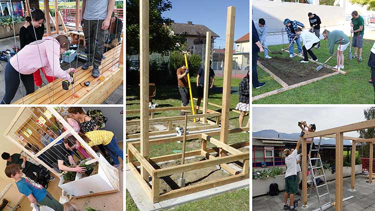Collage aus Eindrücken von Umsetzungsworkshops für Low-Cost- und Do-it-yourself-Begrünungslösungen an verschiedenen Schulen in Österreich