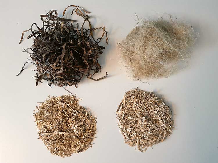 Das Bild zeigt Proben der Ausgangsmaterialien für die Absorberplatten. Oben: Seegras, Hanffasern, unten: Flachsschäben, Hanfschäben