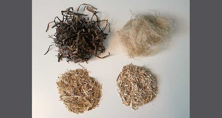 Das Bild zeigt Proben der Ausgangsmaterialien für die Absorberplatten. Oben: Seegras, Hanffasern, unten: Flachsschäben, Hanfschäben 