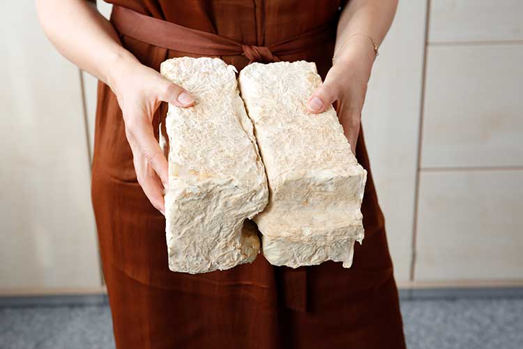 Eine Person hält zwei rechteckige Blöcke aus festem, cremefarbenem Material, die nach dem Nut-und-Feder-Prinzip zusammenpassen. Die Oberfläche der Blöcke ist unregelmäßig und weist eine faserige, strukturierte Textur auf. 