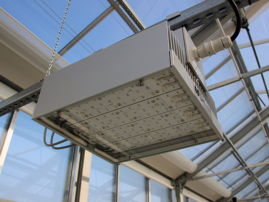 LED-System im Dachgewächshaus