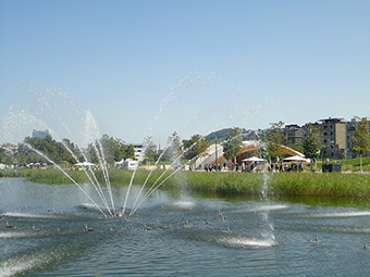 Springbrunnen bald kein Sprungbrett für Keime mehr? 