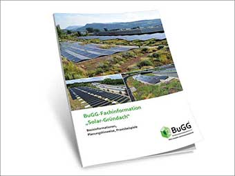 Planungshinweise zur Kombination Solar und Dachbegrünung