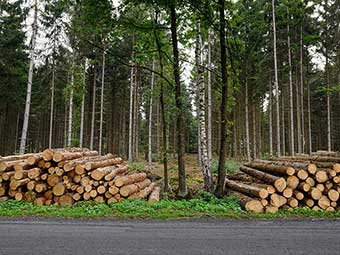 Software-Tool zeigt Kommunen CO<sub>2</sub>-Einsparpotenziale durch Holzbau auf