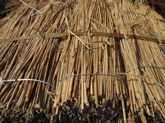 Holz, Hanf und Jute – dämmen mit Naturstoffen