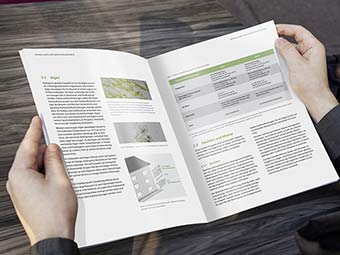 Neues Merkblatt »Mikrobiologischer Bewuchs auf Fassaden – Algen und Pilze«