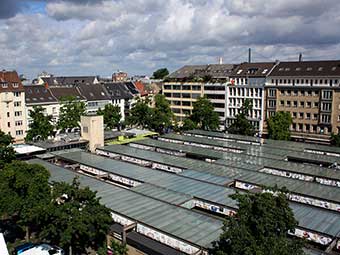 Ressourcenschonende Alternative für Gemüseanbau nah an den Verbrauchenden