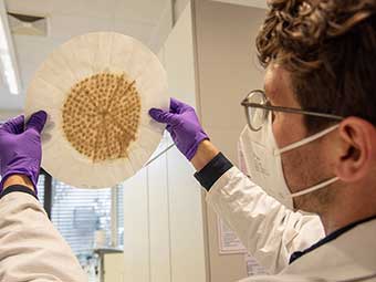 Recycling von Gips vorantreiben