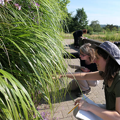 SmartGreen und BiodivFassade