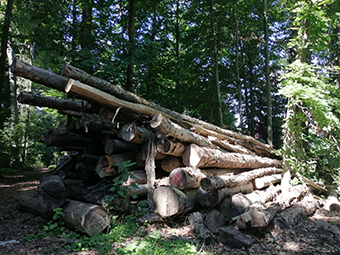 Sicherer Umgang mit Holzpellets: Tipps für Verbraucher