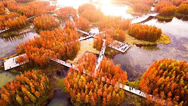A Floating Forest Fish Tail Park von Turenscape