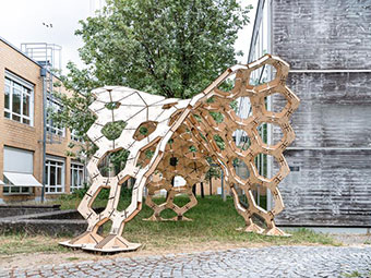 Studierende entwickeln Carapacks-Pavillon