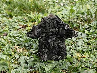 Pflanzliche Dämmstoffe als CO<sub>2</sub>-Senke?