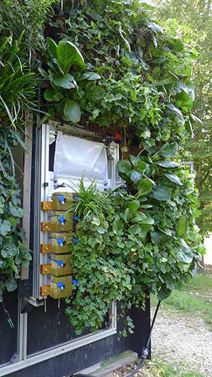 Fassadenbegrünung »Living Wall« verbindet Nachverdichtung mit Hochwasserschutz 