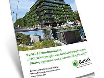 Ein Quadratmeter macht den Unterschied! Über Notwendigkeit und Wirkungen von Gebäudebegrünungen