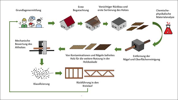 Die Grafik zeigt das geplante Konzept zum Rückbau bestehender Holzkonstruktionen, Oberflächen-Dekontamination und erneuten Verwendung des Altholzes für neue Baukonstruktionen
