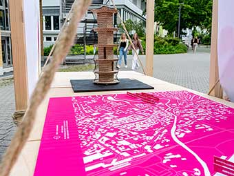 Rohrkolben als Baumaterial