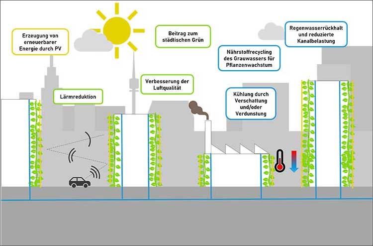 Projektskizze vertiKKA: Pflanzen tragen zur Abkühlung des Mikroklimas bei 