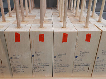 Vielversprechende Lösung für Holztragwerke entwickelt