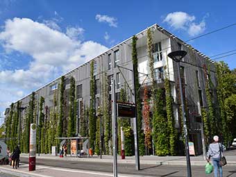 Effektive und die Biodiversität fördernde Gebäudebegrünung