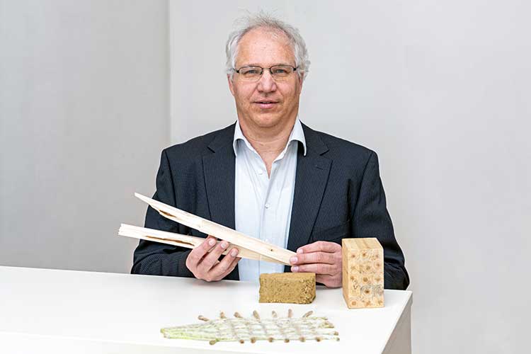Das Bild zeigt Prof. Jörg Schänzlin, Leiter des Instituts für Holzbau. 