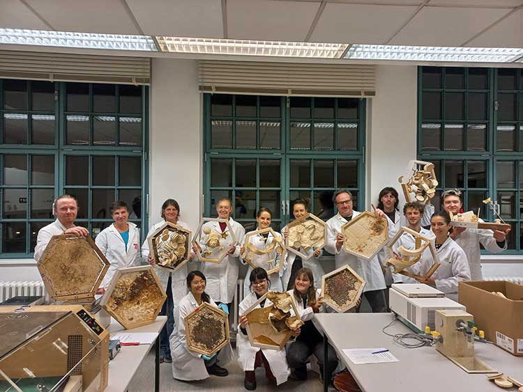 Das Bild zeigt Studierende, Künstlerinnen und Künstler sowie Wissenschaftlerinnen und Wissenschaftler, die jeweils wabenförmige Teile des Bühnenbilds aus Pilzmyzel präsentieren. 