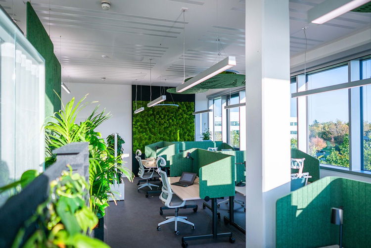 Foto: Büro mit mehreren Arbeitsplätzen, ausgestattet mit grünen Trennwänden. Links befinden sich lebende Pflanzen, im Hintergrund eine grüne Mooswand. Große Fenster rechts. Lineare Deckenleuchten sorgen für Beleuchtung. 