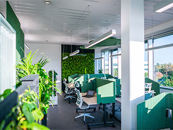 Foto: Büro mit mehreren Arbeitsplätzen, ausgestattet mit grünen Trennwänden. Links befinden sich lebende Pflanzen, im Hintergrund eine grüne Mooswand. Große Fenster rechts. Lineare Deckenleuchten sorgen für Beleuchtung. 