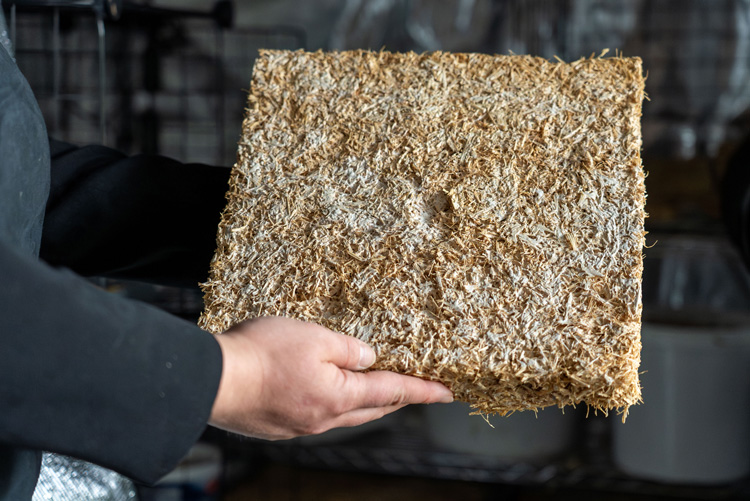 Foto: Rechteckige, flache Platte aus gepresstem, strohähnlichem Material, mit ungleichmäßiger Struktur und einer kleinen Vertiefung in der Mitte. 