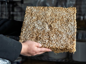 Foto: Rechteckige, flache Platte aus gepresstem, strohähnlichem Material, mit ungleichmäßiger Struktur und einer kleinen Vertiefung in der Mitte. 