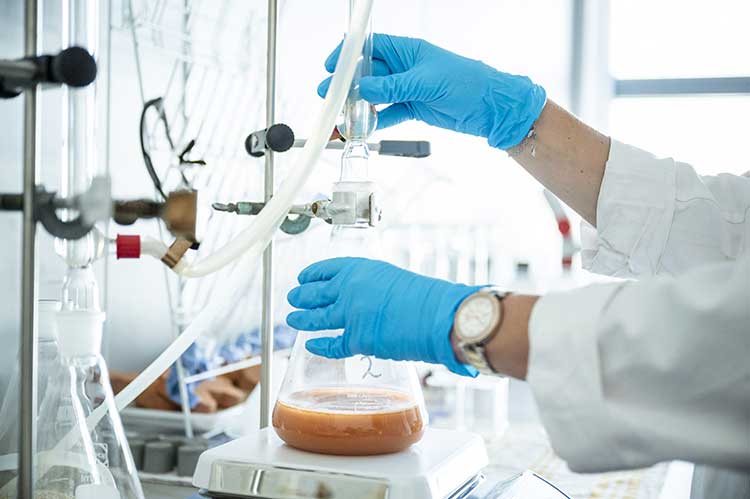 Laboraufnahme: Zwei Hände in blauen Schutzhandschuhen halten einen Glaskolben mit einer orangebraunen Flüssigkeit, der auf einer quadratischen Platte steht. Außerdem sind Schläuche und Gestelle zu sehen. 